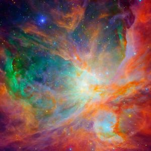 Meet your Posher, Gerald